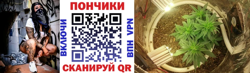 продажа наркотиков Белая Калитва darknet формула Канабис сатива